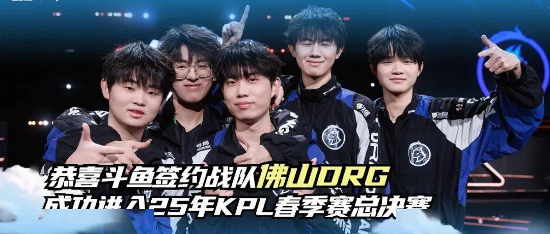 梯队的投资 梯队的投资